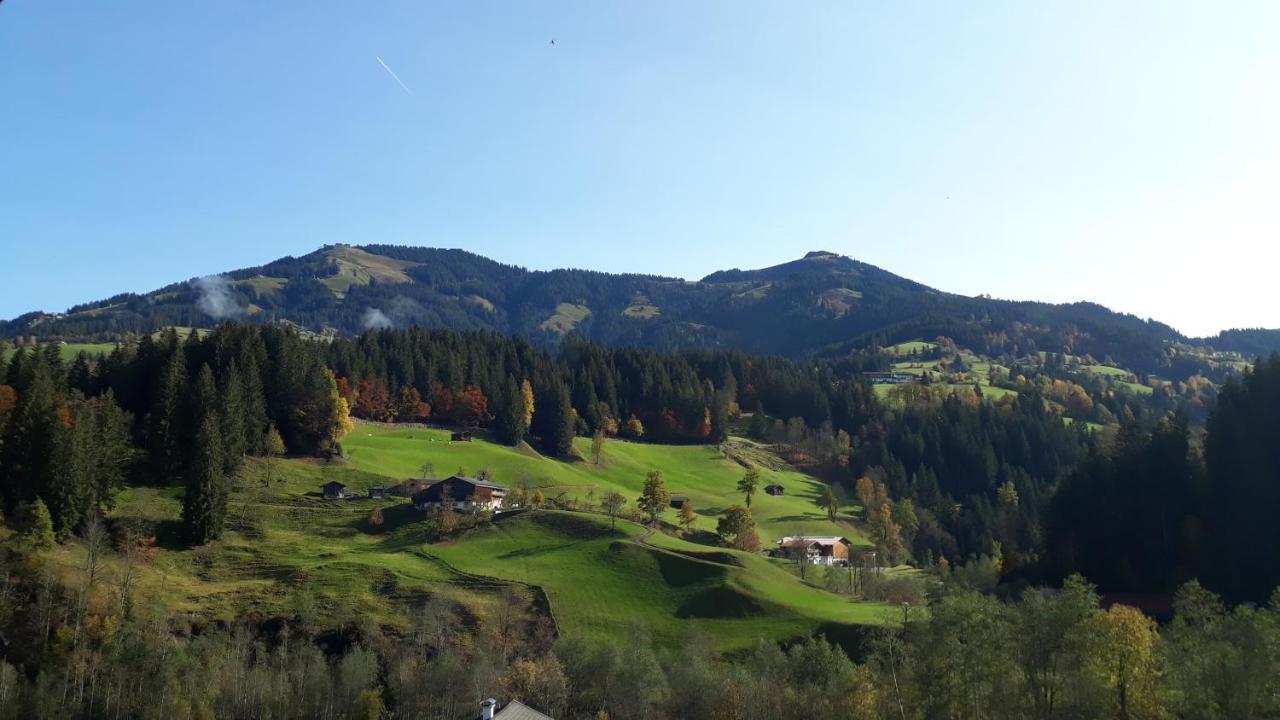 Oberfasser Apartment *